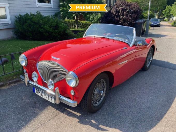 Austin Healey 100 Roadster de 1954