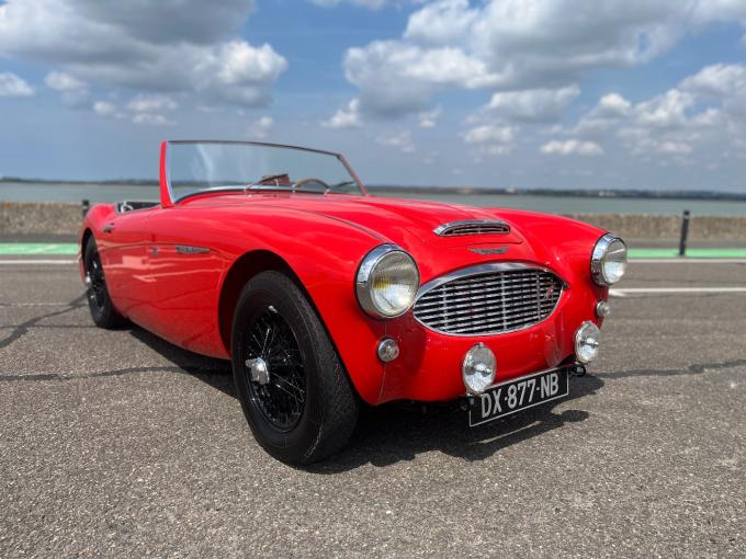 Austin Healey 100 BN4 100/6 de 1958