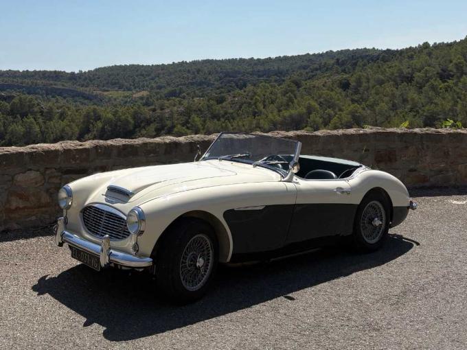 Austin Healey 100 100/6 de 1957