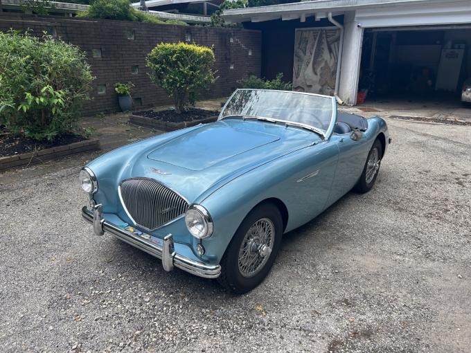 Austin Healey 100 100/4 de 1954