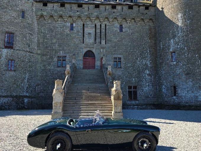 Austin Healey 100 BN1 de 1954