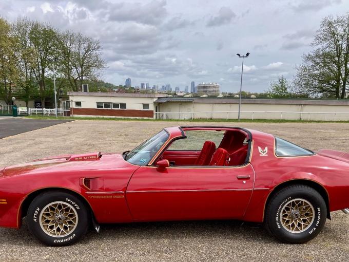 Pontiac Firebird transam de 1981