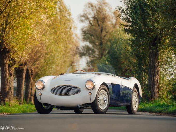Austin Healey 100 S Sebring de 1955