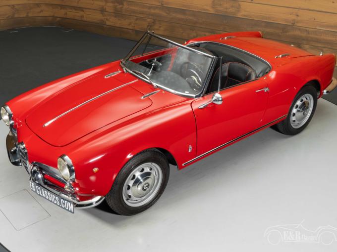 Alfa Roméo Giulietta Spider  de 1961