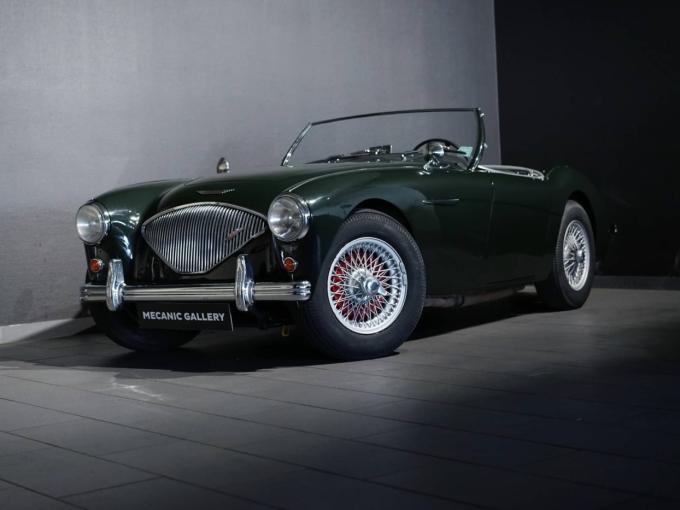 Austin Healey 100 / 4 BN2 de 1955