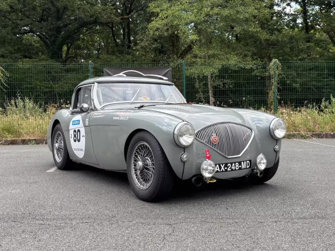 Austin Healey 100 / M BN1 FIA de 1955