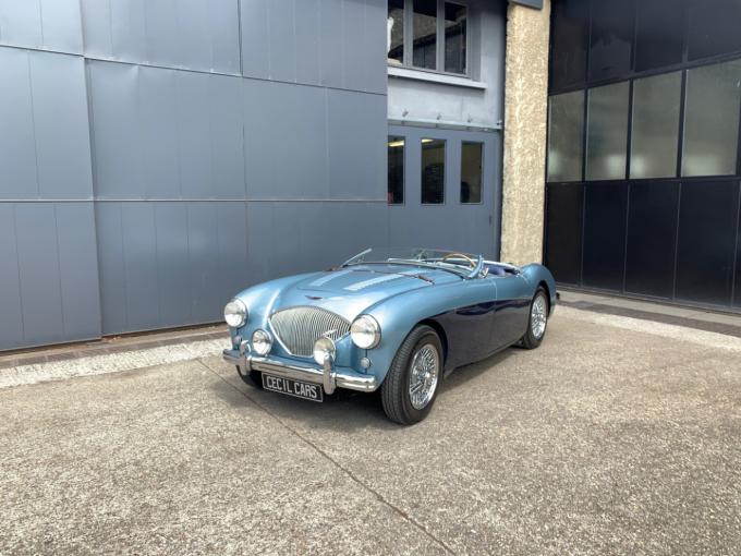 Austin Healey 100 /4 BN1 kit  de 1954