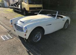 Austin Healey 3000 BN6