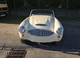 Austin Healey 3000 BN6