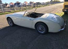 Austin Healey 3000 BN6