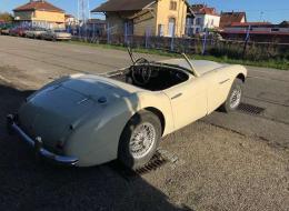 Austin Healey 3000 BN6