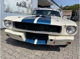 Ford Mustang Fastback GT350 FIA