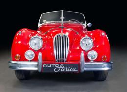 Jaguar Série - XK 140 OTS Roadster