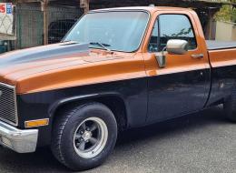 Chevrolet Pick-up Silverado C10 5.7l V8 350 Ci Truck BVA