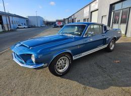 Ford Mustang SHELBY GT500KR 