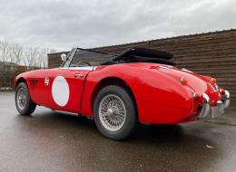 Austin Healey 3000 MK3 BJ8