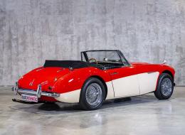 Austin Healey 3000 BJ7