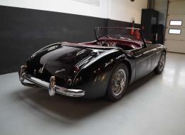 Austin Healey 3000 MK2 Restored