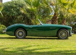 Austin Healey 3000 BJ7