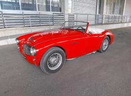 Austin Healey 3000 Bt7