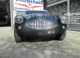 Austin Healey 100 BN 6 MM / Mille Miglia