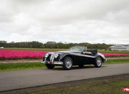 Jaguar Série - XK 140 DHC | Matching number example