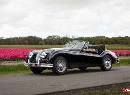 Jaguar Série - XK 140 DHC | Matching number example