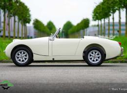 Austin Healey Sprite Mk1