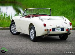 Austin Healey Sprite Mk1