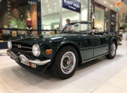Triumph TR6