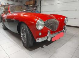Austin Healey 100 4