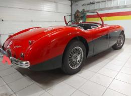Austin Healey 100 4