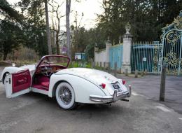 Jaguar Série - XK xk150 ots