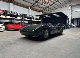 Jaguar Type C Proteus