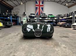 Jaguar Type C Proteus