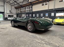 Jaguar Type C Proteus