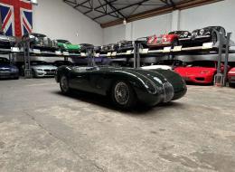 Jaguar Type C Proteus