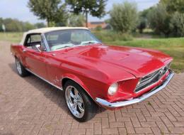 Ford Mustang V8 289 Cabriolet
