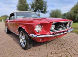 Ford Mustang V8 289 Cabriolet