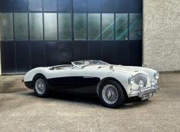 Austin Healey 100