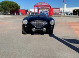 Austin Healey 100 Bn1 