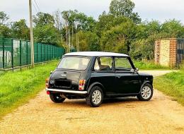 Mini 1300