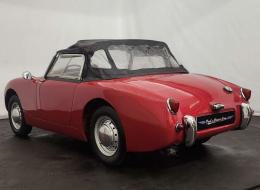 Austin Healey Sprite Frogeye