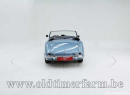 Austin Healey 100 /4 BN1 '54 CH4168