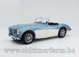 Austin Healey 100 /4 BN1 '54 CH4168 de 1954