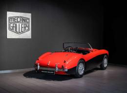 Austin Healey 100 / 4 BN1