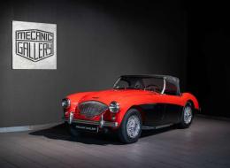 Austin Healey 100 / 4 BN1