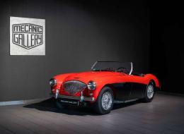 Austin Healey 100 / 4 BN1