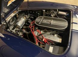 AC Cobra Dax cobra 427