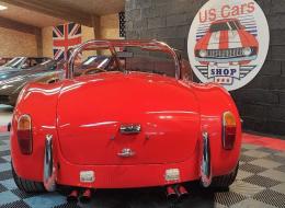 AC Cobra Aurora GRX 